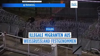 Polen: Fast 40 illegale Migranten an der Grenze zu Weißrussland festgenommen