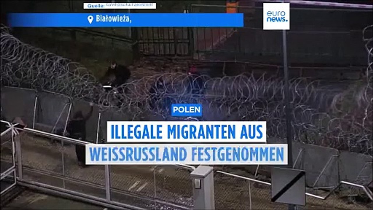 Polen: Fast 40 illegale Migranten an der Grenze zu Weißrussland festgenommen