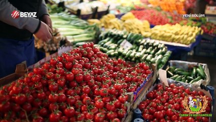 Tarım ve Hayvancılık 30 Kasım 2024