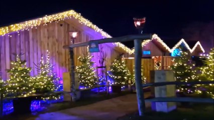 Take a look inside magical Christmas Light Festival in Sussex