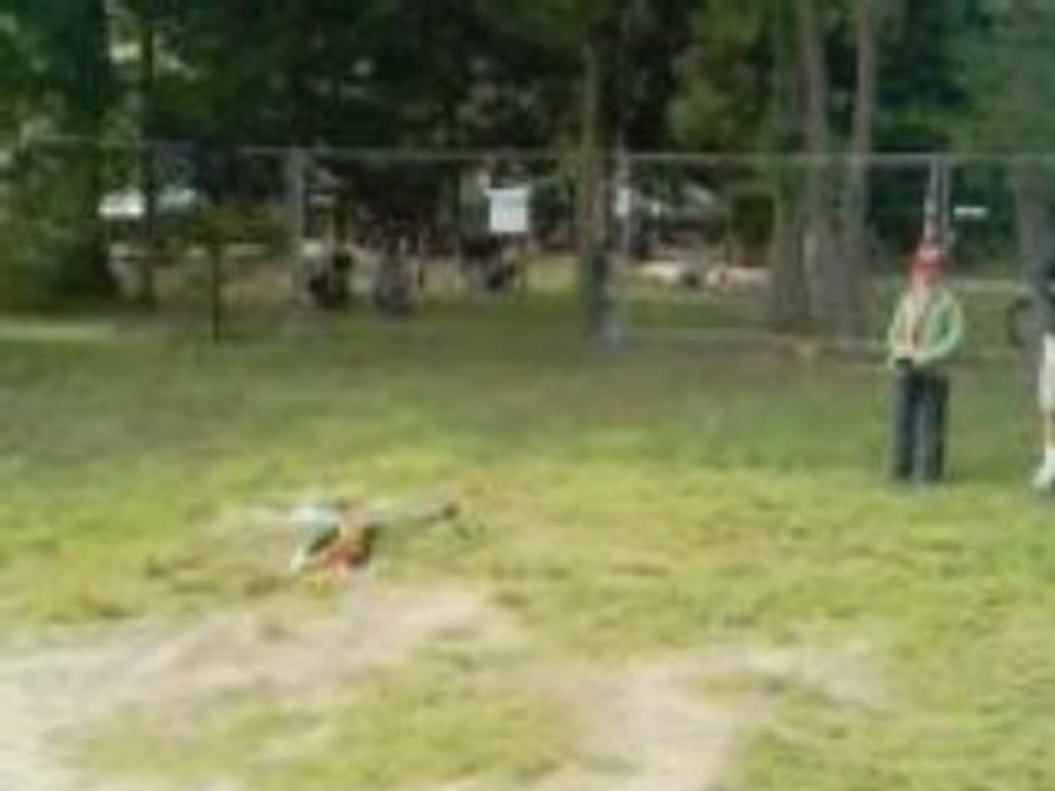 Salon modelismes mandelieu 04_08(la premiere de benj)