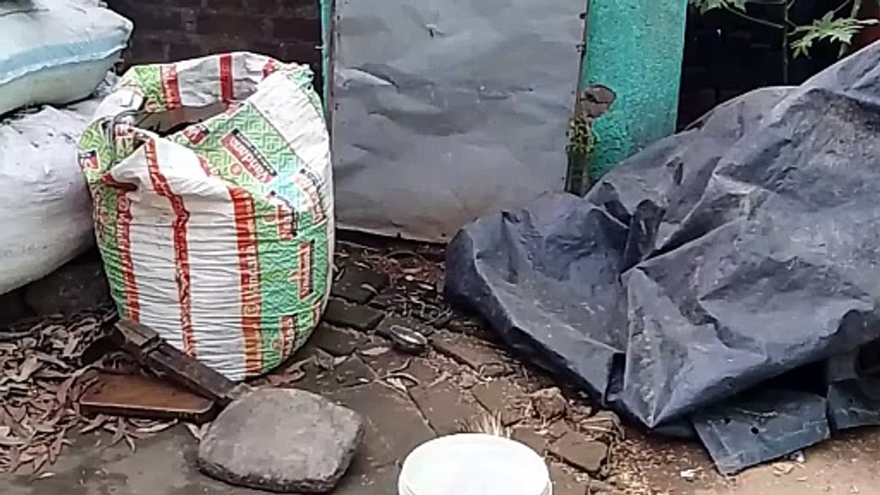 Village life