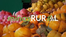 Confira a íntegra do programa Minas Rural deste sábado (30)!