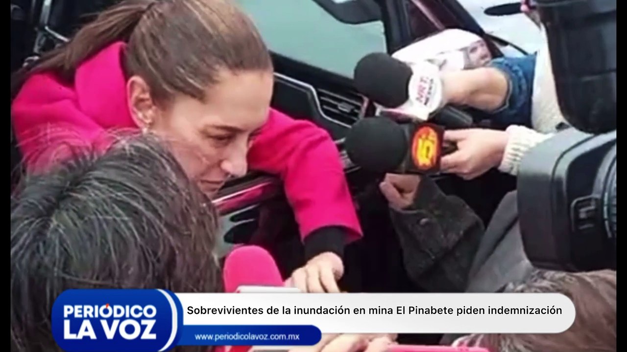 Sobrevivientes de mina El Pinabete piden indemnización