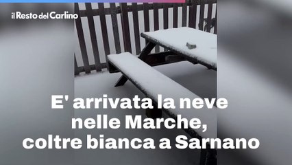 E' arrivata la neve nelle Marche, coltre bianca a Sarnano