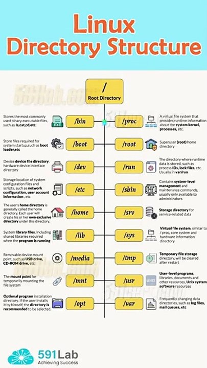 Linux Secrets Revealed Top Directories You Never Knew Existed!