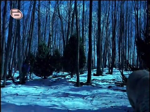 Завръщането на елена Дръзки (2001) бг аудио