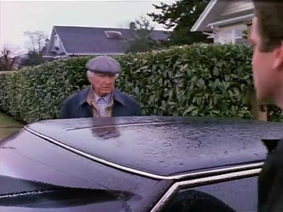 S04E21 - Die Radikalen