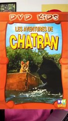Les Aventures Émouvantes de Chatran 🐱 : Le Film Culte des Années 80