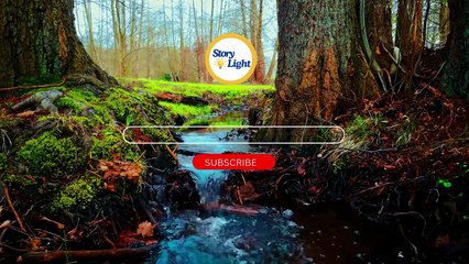 The Turtle's Wisdom ｜ learn english through story ｜ Best way to improve English speaking skills