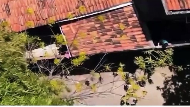 VÍDEO: Membro de grupo criminoso é preso ao tentar fugir por telhados de casas