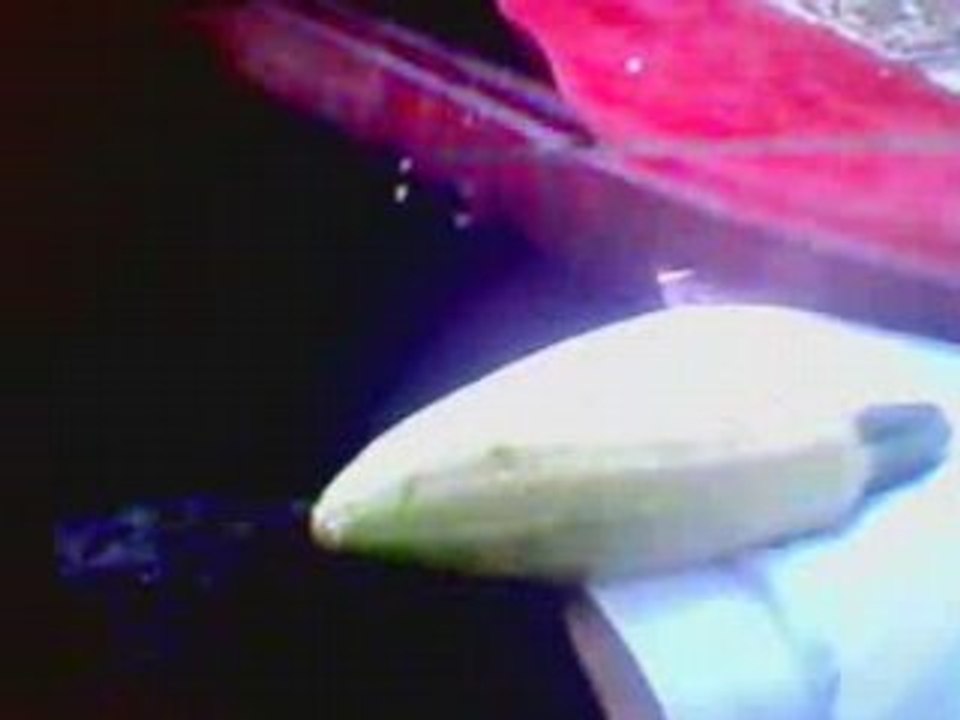 mma pmaa master karate kung fu pakistan martial art