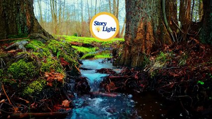 A Life-Changing Story of Persistence and Growth ｜ learn english through story ｜story telling English