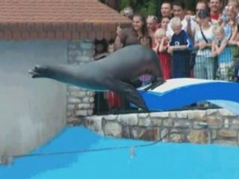 ZOO de LA PALMYRE (17)