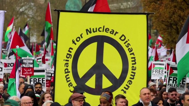 '국제 팔레스타인 연대의 날' 세계 각국서 시위 / YTN