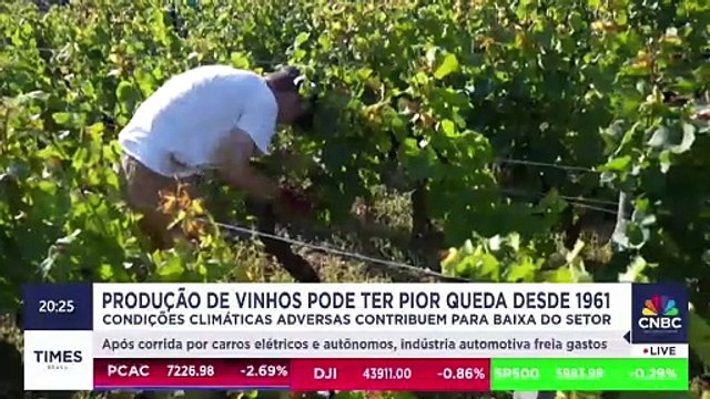 Condições climáticas podem causar o menor volume de vinhos desde 1961