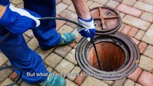 Essential Benefits of Professional Sewer Cleaning