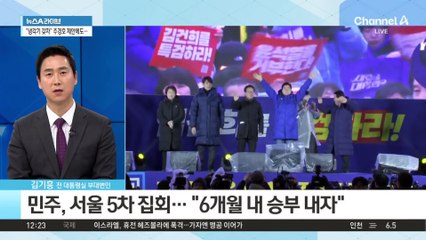 민주당, 서울 5차 집회…“6개월 내 승부 내자”