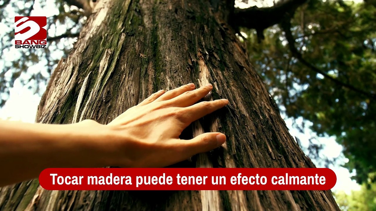 Tocar madera puede tener un efecto calmante