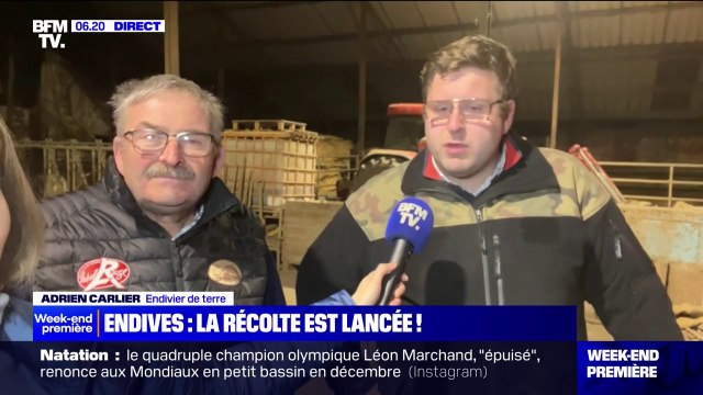 Malgré des conditions météo particulières et un été pluvieux, la récolte d'endives est bonne