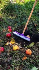 The best ways to harvest and prepare your crops for winter🧅❄️