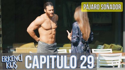 Pájaro Soñador Capítulo 29 en Español 🎧 - ¡Sanem y Can en su Gran Historia de Amor!
