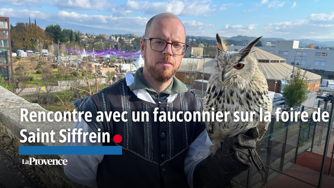 Un fauconnier sur la foire saint Siffrein à Carpentras