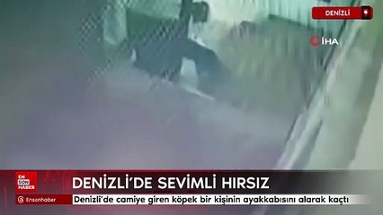 Denizli'de camiye giren köpek bir kişinin ayakkabısını alarak kaçtı