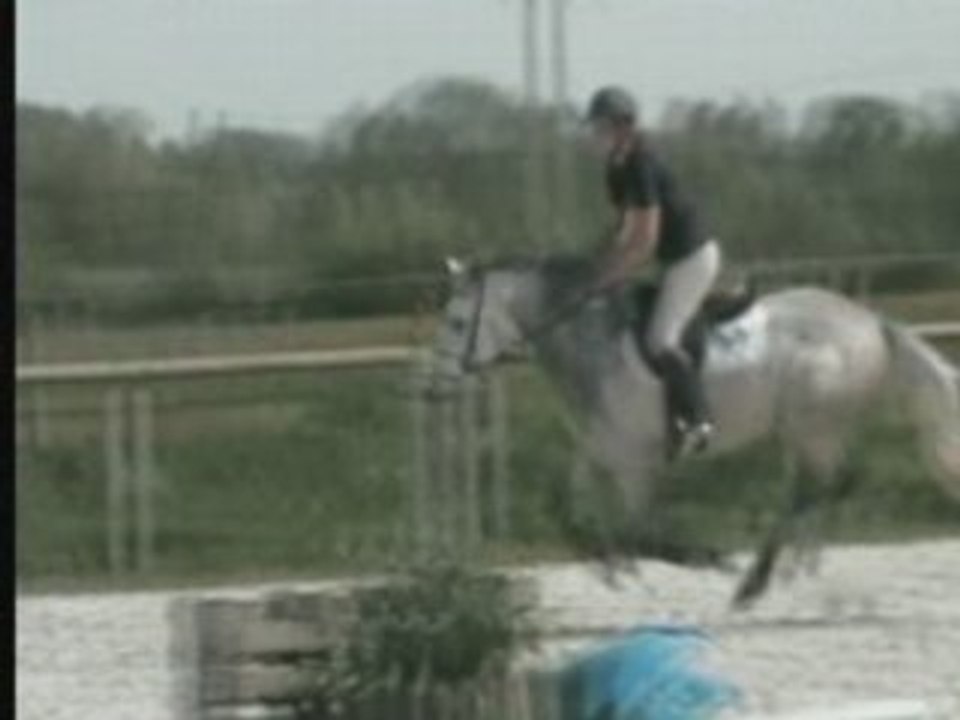 Pit Obstacle