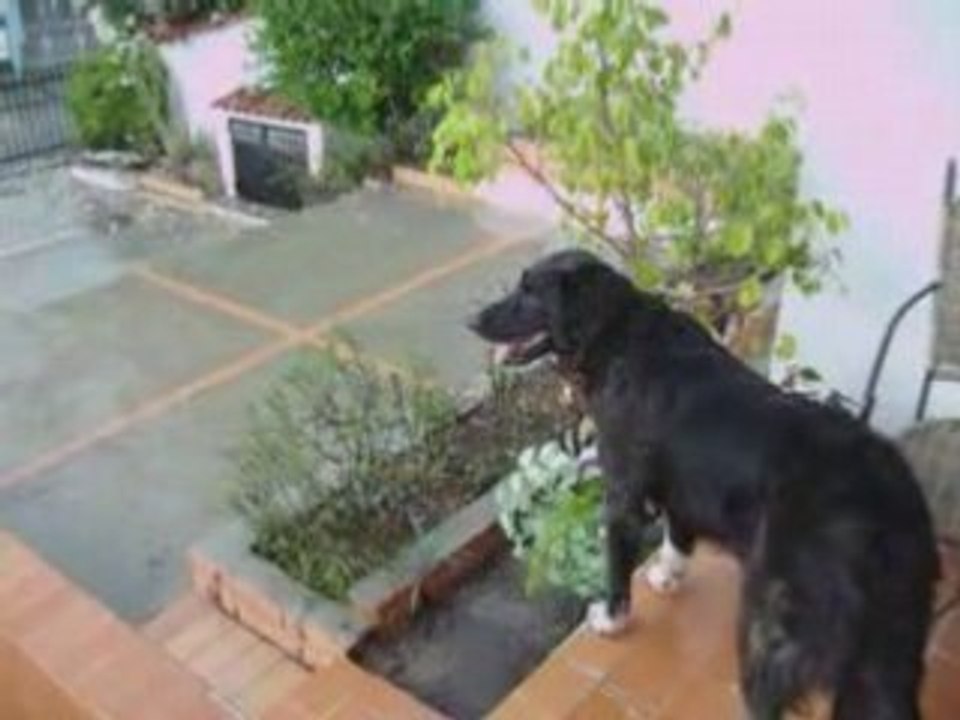Tarde de lluvia