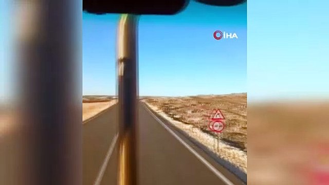 Yer: Şanlıurfa... Anadolu sırtlanı ile yaralı çakal görüldü