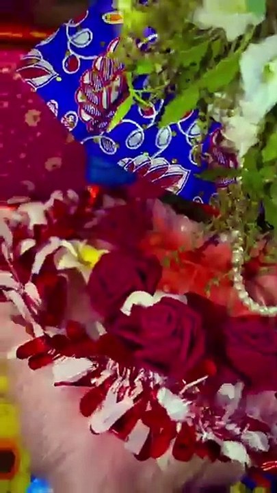 Shri Banke Bihari 🐚| #bankebihari #krishna #krishnabhajan #laddugopal #vrindavan #sagnikadevotional