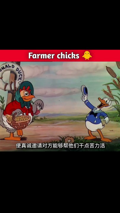 Farmer chicks 🐥