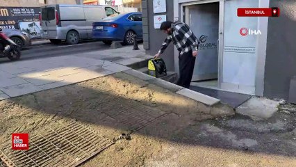 İstanbul'da sokağa bırakılan kediyi ofis çalışanları sahiplendi