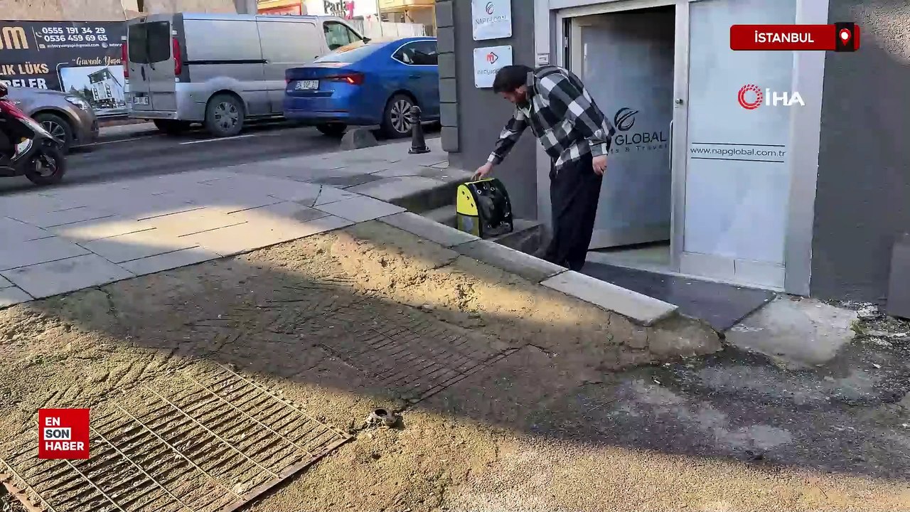 İstanbul'da sokağa bırakılan kediyi ofis çalışanları sahiplendi