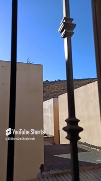 🛸 El Cerro de Los Misterios_ ¡Entidades Intraterrestres Salen de una Cueva! 🐕👽 #shorts #ufo #alien