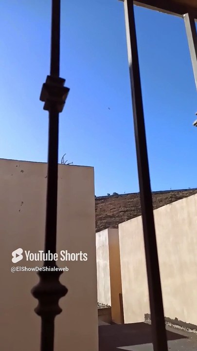 🌌 Misterio en el Cerro de Los Misterios Entidades y Perros Guardianes 👽🐕🛸 #shorts #ovni #ufo #alien