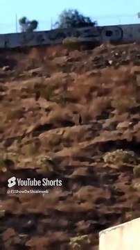 👽 El Cerro de Los Misterios Encuentro Cercano con Entidades Intraterrestres 🛸🐕 #shorts