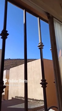 🛸 Entidades Intraterrestres en el Cerro de Los Misterios 🐕👽 ¡Un Fenómeno Único en Tijuana! #shorts