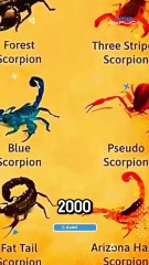 Un poco de historia sobre los escorpiones