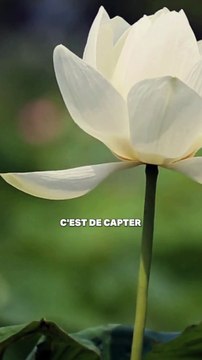 Comment les éoliennes produisent de l'électricité sans vent ?