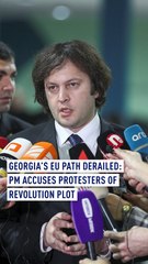 Georgia's EU Path Derailed: PM Accuses Protesters of Revolution Plot