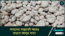 এবার সরাসরি ধর্মঘটের হুঁশিয়ারি ব্যবসায়ীদের! সামনের সপ্তাহেই আরও বাড়বে আলুর দাম?