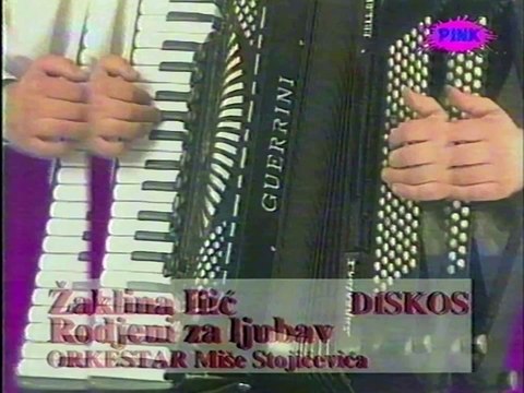 Zaklina Ilic - Rodjeni za ljubav