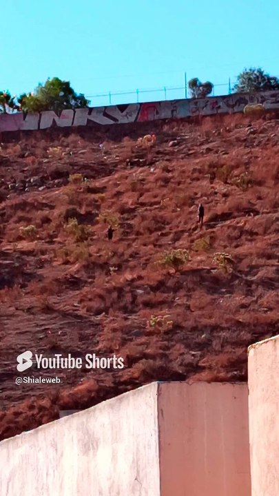 🌌 Cerro de Los Misterios_ Vigilancia de Platillos Voladores y Aves Nocturnas 🛸🕊️ #shorts #alien #ufo