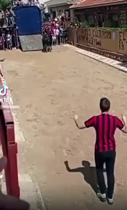 Bull rips guys pants (video)