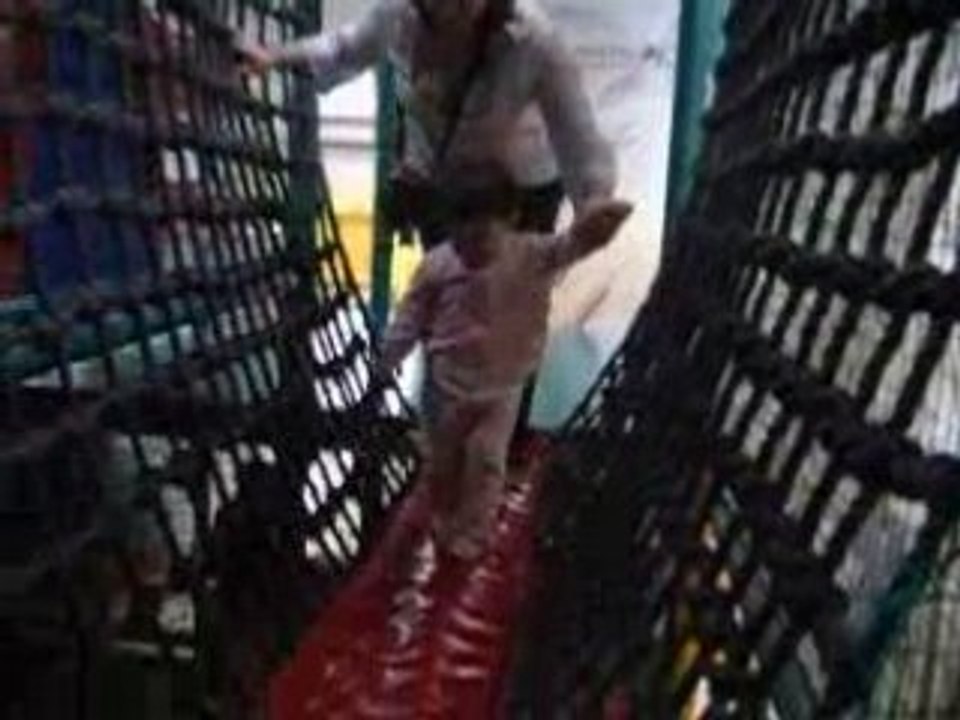 Ludimax-passerelle