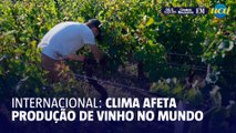 Produção mundial de vinho pode cair em 2024 ao seu menor nível desde 1961