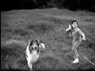 Lassie - Fondo de Pensiones y Cesantías Protección