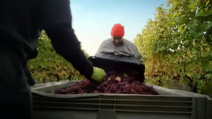 فورد تشوق لرينجر سوبر ديوتي بفيديو غامض لا يظهر سوى العجلات